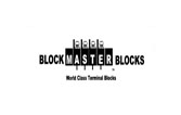 BlockMaster Electronics